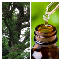 Aceite Esencial de Palo de Ho