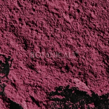 Alkanna polvo (Ayurvédico)