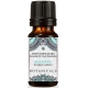 Aceite Esencial de Eucalipto BIO